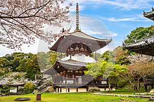 Daito Pagoda of Negoro ji temple in Iwade city of Wakayama