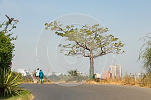 Dakar coastline, beach and vegetation. Dakar. Senegal. West Africa