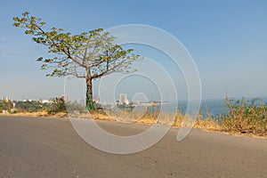 Dakar coastline, beach and vegetation. Dakar. Senegal. West Africa