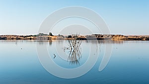 Dakhla Oasis, Egypt.