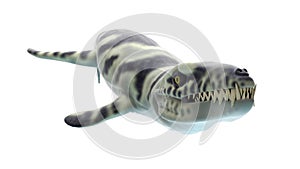 A dakosaurus