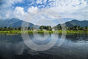 Dal Lake Houseboats photo