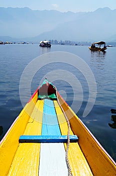 Dal lake, Srinagar, India