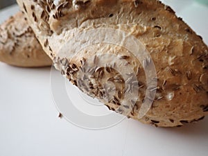 Dalamanek bread on a table