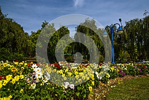 Dalat flower gardens