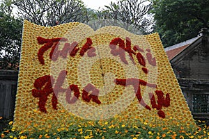 Dalat flower park photo