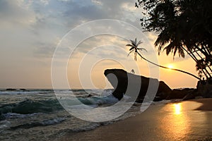 Dalawella Beach in Unawatuna at sunset with the famous giant rock with a man climbing it and hanging palm tree, Sri Lanka