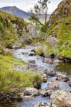 Dale Head Beck