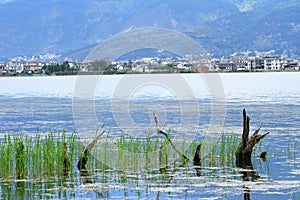 Dali Erhai Lake photo