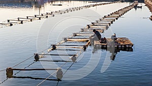 The Dalian`s most beautiful coastline