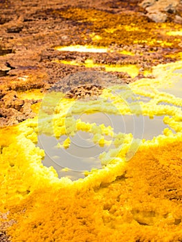 Dallol in Danakil Depression, Ethiopia