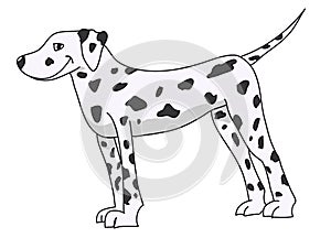 Dalmata Doggy