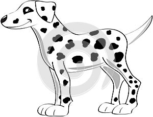 Dalmatian