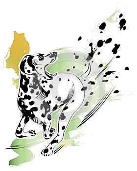 Dalmatian