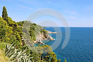 Dalmatian coast with nature green forest trees with blue Adriatic sea, Croatia, Europe