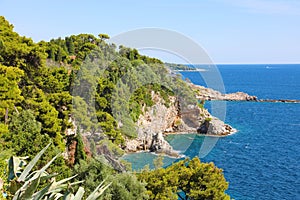 Dalmatian coast with nature green forest trees with blue Adriatic sea, Croatia, Europe