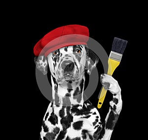 Dalmatian dog as a painter with a brush. Isolated on black