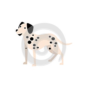 Dalmatian Dog Breed Primitive Cartoon Illustration