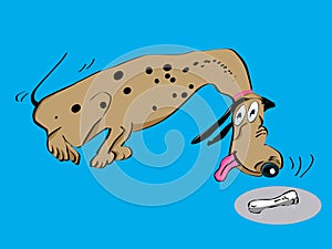 Dalmatian dog cartoon