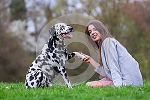 Dalmatian dog gives a young woman the paw