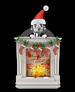 Dalmatian dog near fireplace. Isolated on black