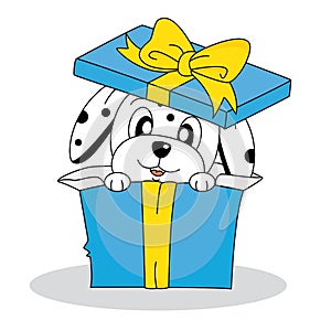 Dalmatian dog out of a gift box