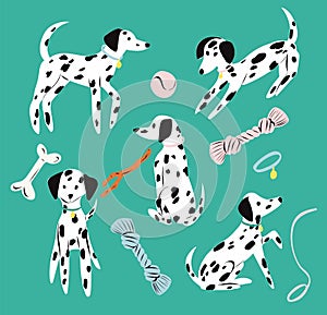 Dalmatian dog set. Cute puppy and toys.