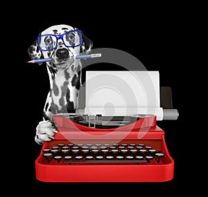 Dalmatian dog is typing on a typewriter keyboard. Isolated on black