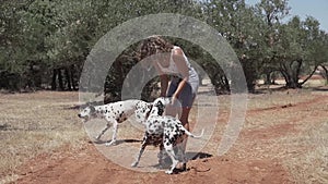 Dalmatian dogs playing and jumping in the forest