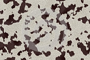 Dalmatian fur background texture