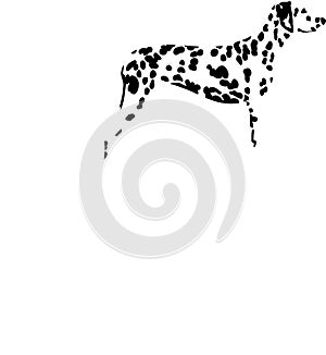 Dalmatian Love Silhouette