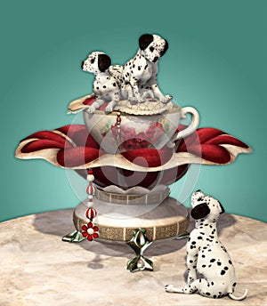 Dalmatian Puppies