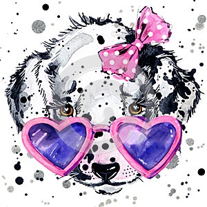 Dalmatian puppy dog T-shirt graphics. puppy dog illustration with splash watercolor textured background. unusual illustration wat