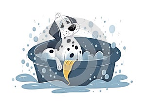 Dalmatian Puppy Dog in Tub