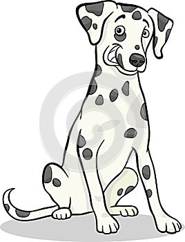 Dalmatian purebred dog cartoon illustration