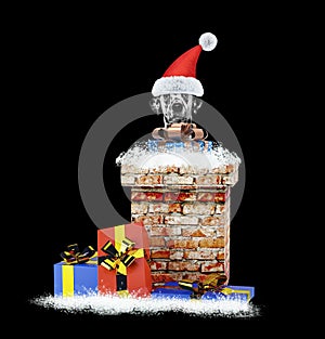 Dalmatian santa dog with gift climbs out of chimney. Isolated on black