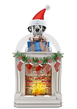 Dalmatian santa dog with gift near fireplace. Isolated on white