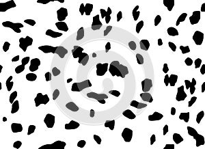Dalmatian seamless pattern. Horizontal background, black chaotic spots
