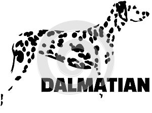 Dalmatian silhouette black