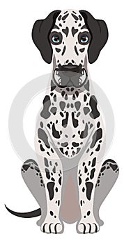 Dalmatian sitting. Playful pet friend. Dog icon