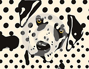 Dalmatian spot pattern with random dot layout