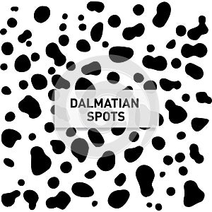 Dalmatian spots. Seamless Dalmatian spots for print design. White background. Animal spots, Seamless pattern