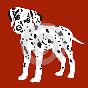 Dalmatians, cute puppy, sad. Vector Illustration Portrait of Dalmatian Puppy. Dog isolated.