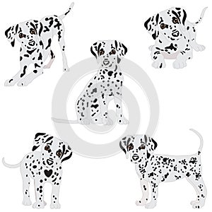 Dalmatians, cute, sad. Vector Illustration. Portrait of Dalmatian Puppy. Dog isolated.