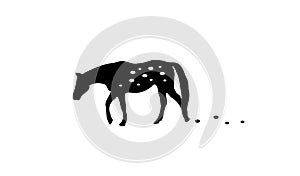 Dalmatine Horse