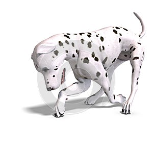 Dalmation Dog. 3D rendering with clipping path