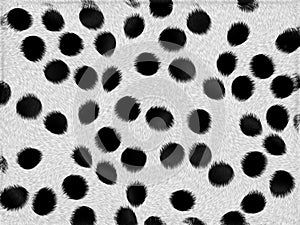 Dalmation fur