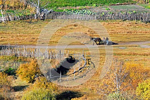 Dam Autumn in Inner Mongolia