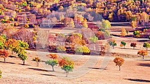 Dam Autumn in Inner Mongolia