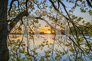 Dam between Bezdrev and Cesnovicky cip pond with spring color sunset with trees